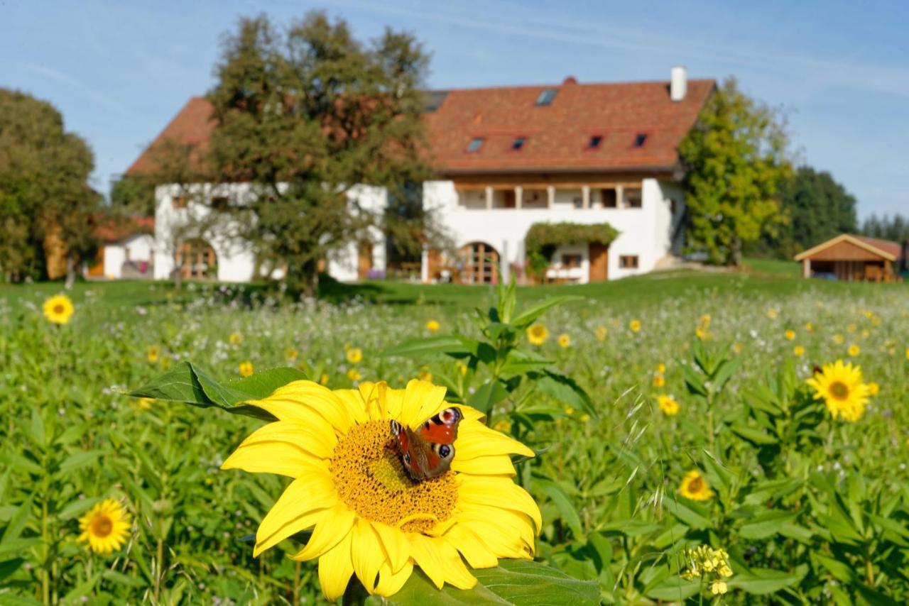 Hagerhof Apartment Eggstatt Exterior photo